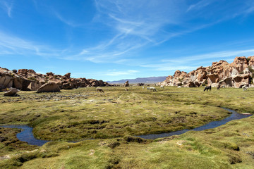View of the Laguna Negra, Black lagoon Canyon with unique geological rock formations in Altiplano, Bolivia