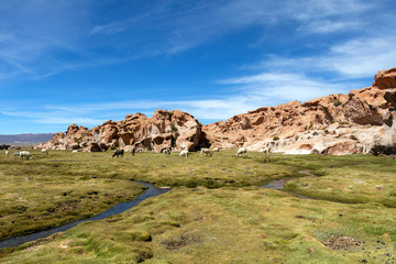View of the Laguna Negra, Black lagoon Canyon with unique geological rock formations in Altiplano, Bolivia