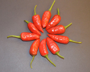 red chili in well decorative manner ready for cocking