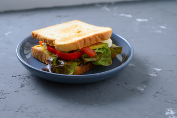 Vitamin sandwich of toast, lettuce, bell pepper, avocado, mozzarella and mustard sauce