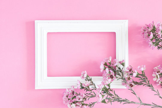 Beautiful flowers composition. Blank frame for text, pink flowers on pastel pink background. Valentines Day, Easter, Birthday, Happy Women's Day, Mother's day. Flat lay, top view, copy space