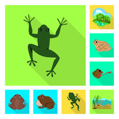 Isolated object of wildlife and bog sign. Set of wildlife and reptile stock symbol for web.