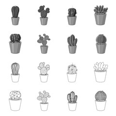 Vector illustration of cactus and pot symbol. Set of cactus and cacti vector icon for stock.