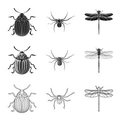 Vector design of insect and fly sign. Set of insect and element vector icon for stock.