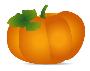 Orange ripe pumpkin with green leaf on white background