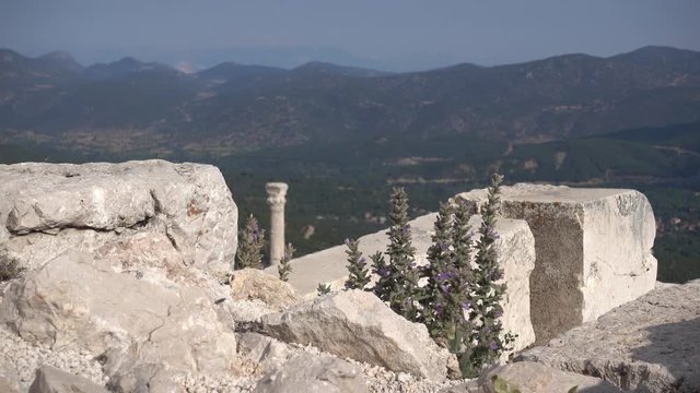 Antalya region, Turkey - 8th of July 2018: 4K Sagalassos ancient city tour - Ancient rocks and modern plants at the Sagalassos