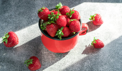 Fresh Strawberries in red enamel cup on grey background.
