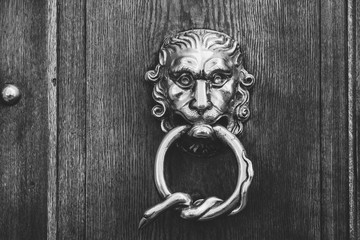Brass doorknocker, lion head and snake loop design, black and white