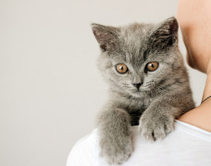 Beautiful young woman with cute cat resting at home. The British Shorthair