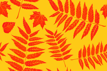 Fototapeta na wymiar Red and Orange Autumn Leaves Yellow. Background autumn pattern sheet seamless. Leaves of the fern. Pattern for the fabric. Fern print. Trend autumn pattern. Cloth shirt pattern. vector, eps 10