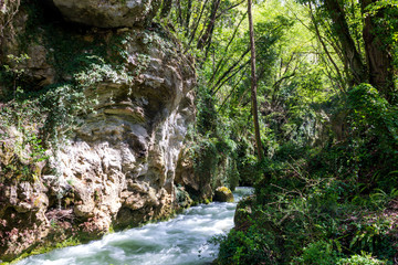 swift river in the forest in Umbria in Italy