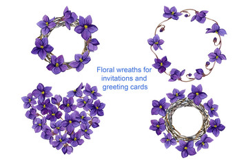 viola flower set