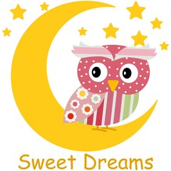 cartoon cute owl sits on the moon with text vector