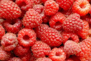 Heap of sweet red raspberries close up for bckground