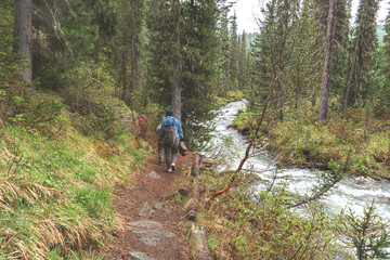 hiking in the forest