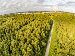 Aerial view of People walking  at trail in Merlin Park