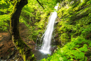 Karlovsko pruskalo waterfall in Old River, Stara reka reserve, located at Central Balkan national park in Bulgaria