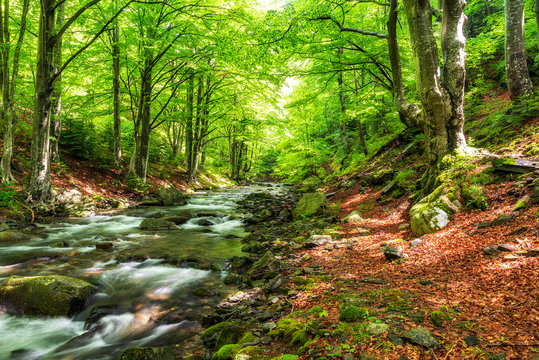 Reka Bilder Durchsuchen 1,044 Archivfotos, und Videos