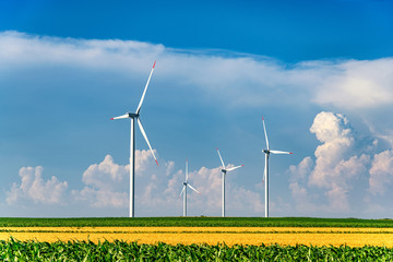 Wind power turbines in the countryside in a sunny day in agricultural field with blue sky and white clouds in summer