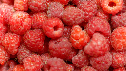 Heap of sweet red raspberries close up for background