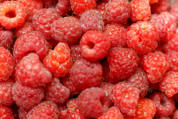 Heap of sweet red raspberries close up for background