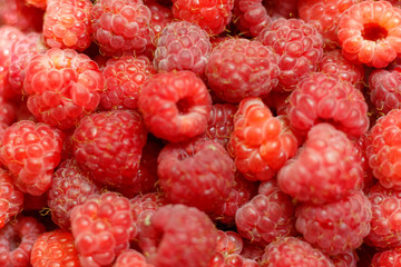 Heap of sweet red raspberries close up for bckground