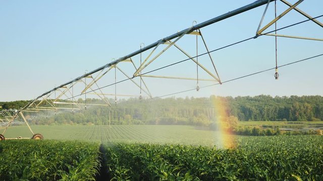Crop irrigation using the center pivot sprinkler system
