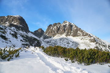 Scienic view of narrow trail in Tatras mountaines covered with snow