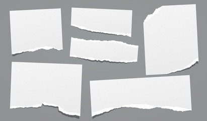 Ripped, torn note, notebook grainy paper strips, copybook sheet stuck on dark grey background. Vector illustration