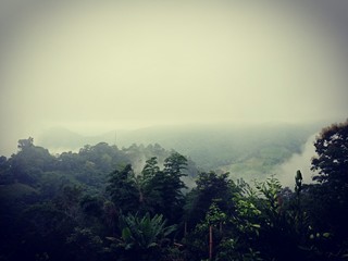 Obraz premium foggy morning in the mountains