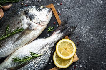 Raw dorado fish on black background.