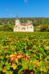 Fototapeta na wymiar Beautiful church of Givry, nestled in the vineyards of Burgundy, France