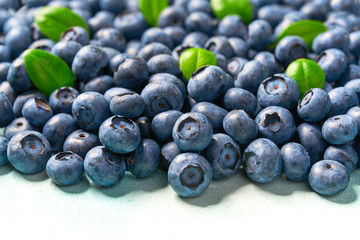 Fresh blueberry and  green leaves background. Texture blueberry berries close-up.
