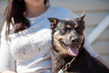 Сlose-up photo of brunette in white sweater and black dog looking to side for walk on summer day