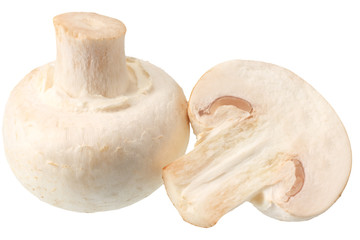 Fototapeta na wymiar mushrooms isolated on white background. top view