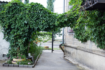 Nature the sculptor does elephant