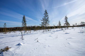 Fototapeta premium Snow path through winter's tundra.