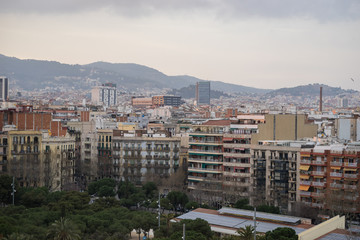 Fototapeta premium view of the city