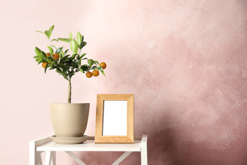 Potted citrus tree and empty frame on table against color background. Space for text