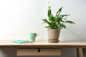 Potted peace lily plant, cup and notebook on wooden table near white wall. Space for text