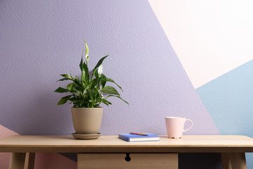 Potted peace lily plant, cup and notebook on wooden table near color wall. Space for text