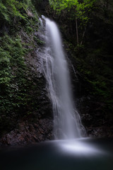 Fototapeta na wymiar 払沢の滝