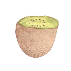 Juicy and ripe fruit of kiwi, plucked from a tree under the hot southern sun. Hand-drawn watercolor illustration