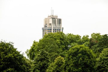 London Park with Building in background
