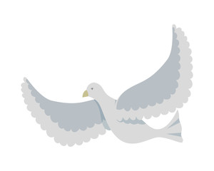 white dove flying bird icon