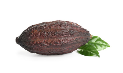 Cocoa pod and leaves on white background