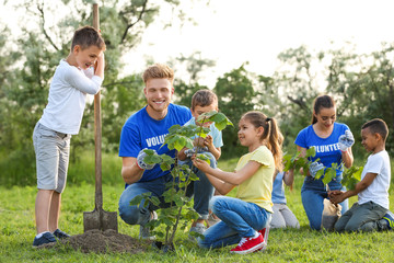 Kids planting trees with volunteers in park