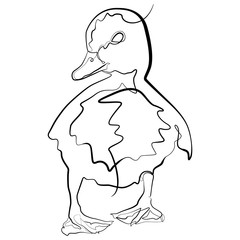 Duckling one line drawing. Duck continuous line sketch Vector Art