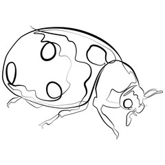 Ladybugs one line drawing. Lucky Charm continuous line sketch Vector Art