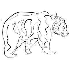Bear one line drawing. Bushcraft Wildlife continuous line sketch Vector